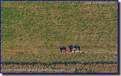 A close-up aerial view of workers picking up pumpkins near Fremont, Ohio.