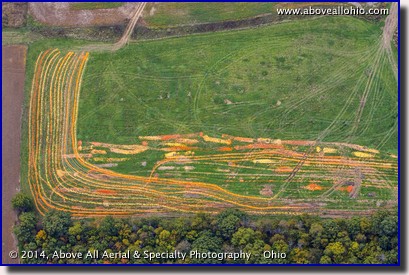 A steep oblique aerial view of a discarded pumpkins, squash, and gourds in rural Ohio.