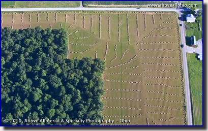 An aerial view of straw bales awaiting pickup in an Amish farmer's field near Kidron, Ohio