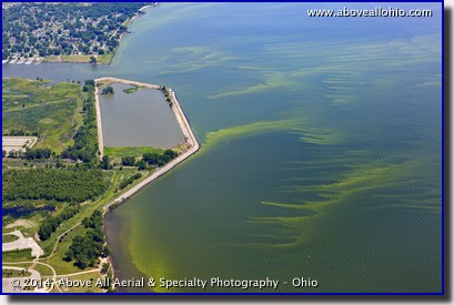 Aerial view of green algae in Lake Erie near Toledo, Ohio, prior to the summer toxic algae bloom that shut down the citiy's water supply for days.