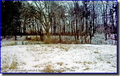 A visible light image of several deer in the woods in winter.